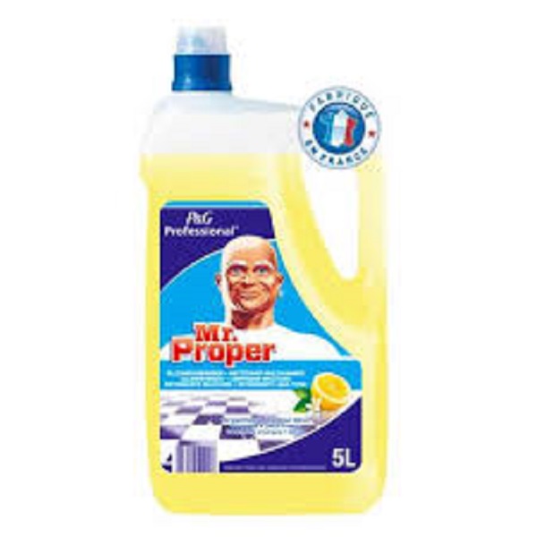 Meister Proper Zitrone - 5 L